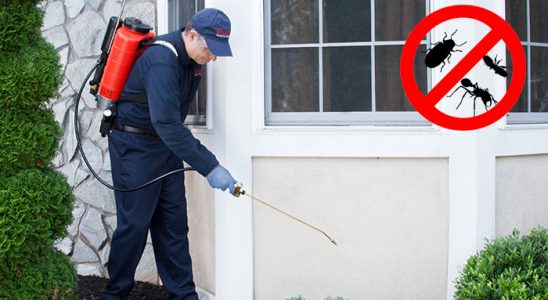 Çerkezköy Kene İlaçlama böcek ilaçlama ve haşere kontrolü — ilaclama-tr.com